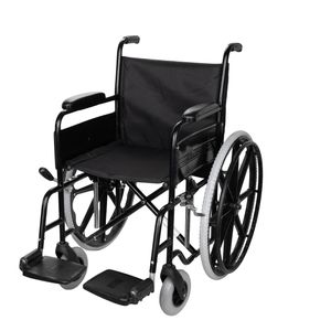 ویلچر پر کلاغی